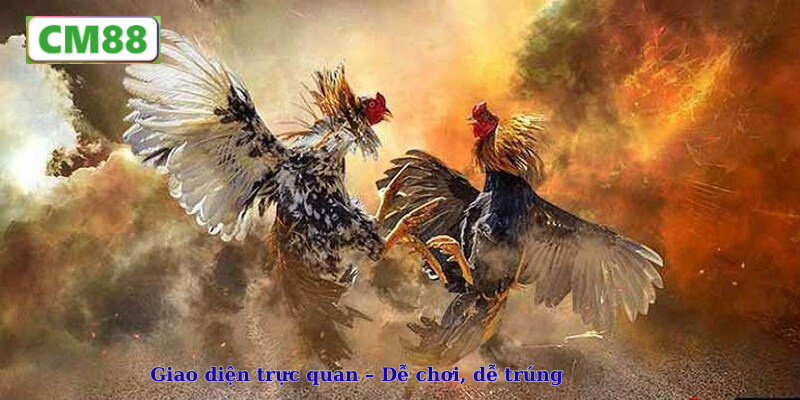Giao diện trực quan – Dễ chơi, dễ trúng